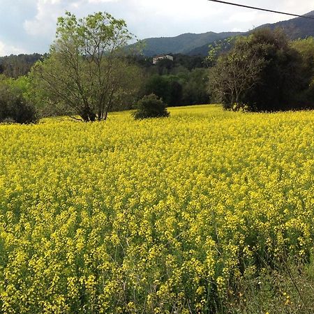 Casa Rural Can Panxa Sant Pere de Vilamajor 外观 照片