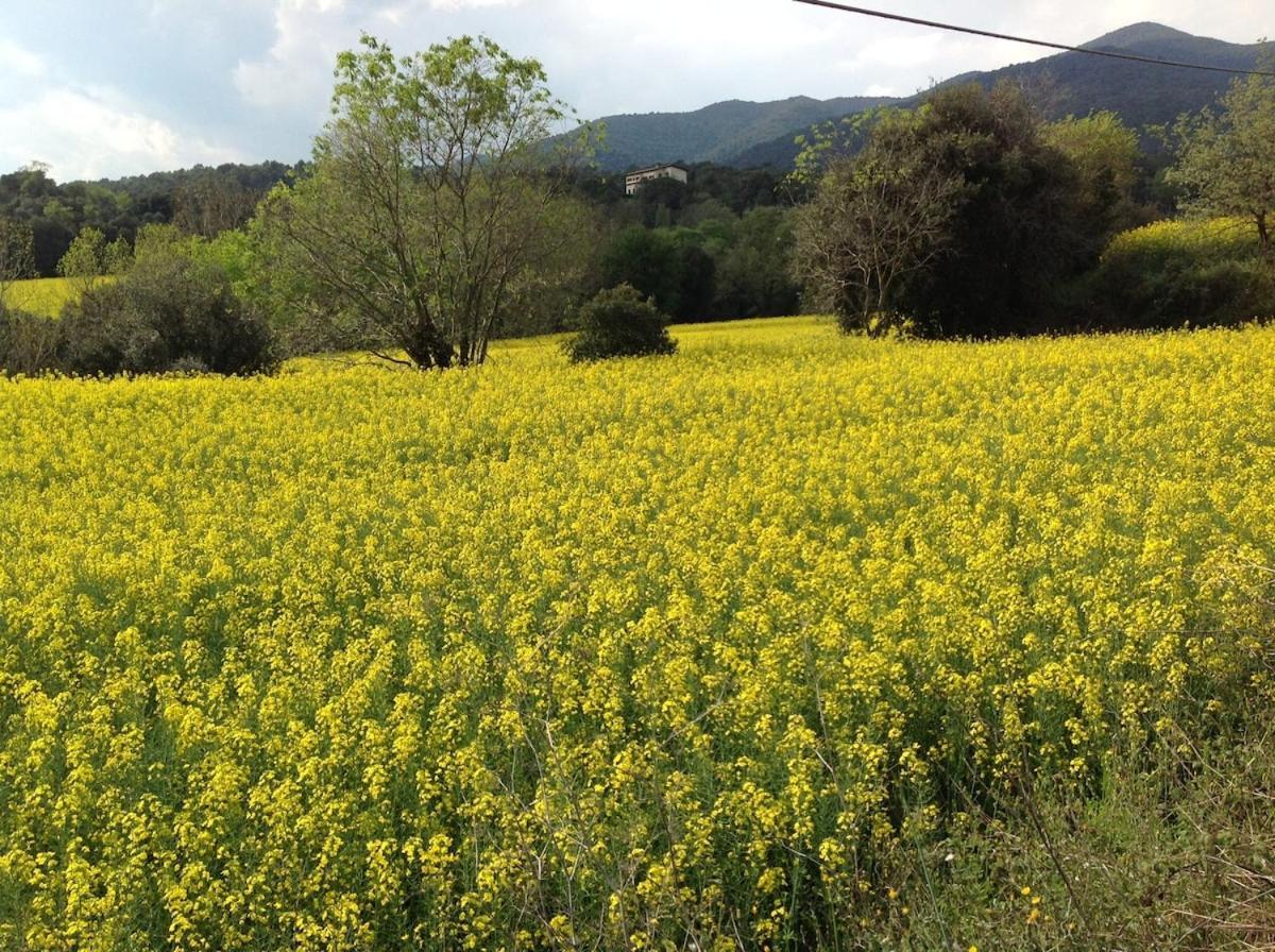 Casa Rural Can Panxa Sant Pere de Vilamajor 外观 照片
